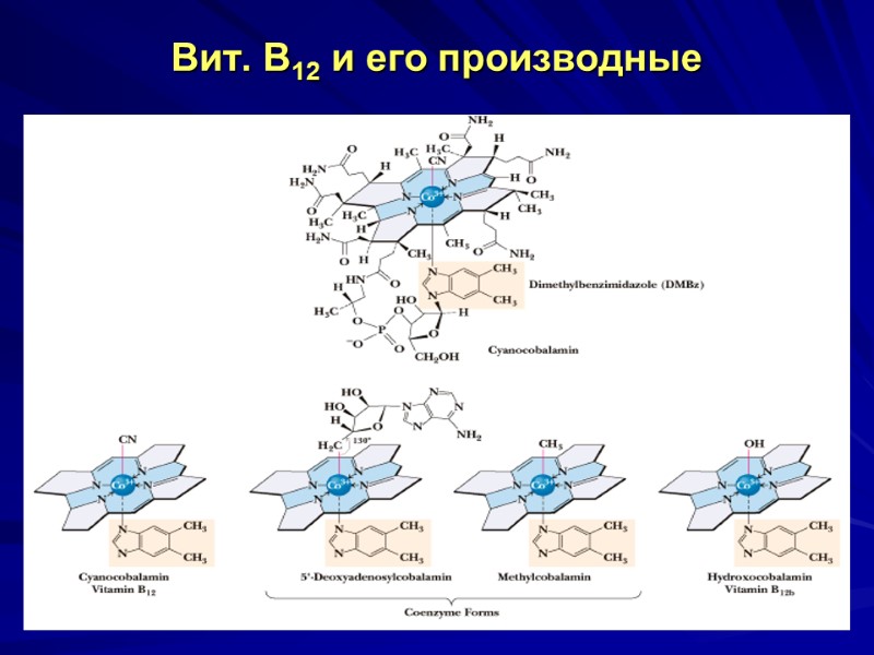 Вит. В12 и его производные Вит. В12 и его производные